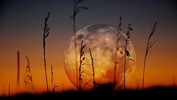 Supermoon Close UP graphy HD wallpaper