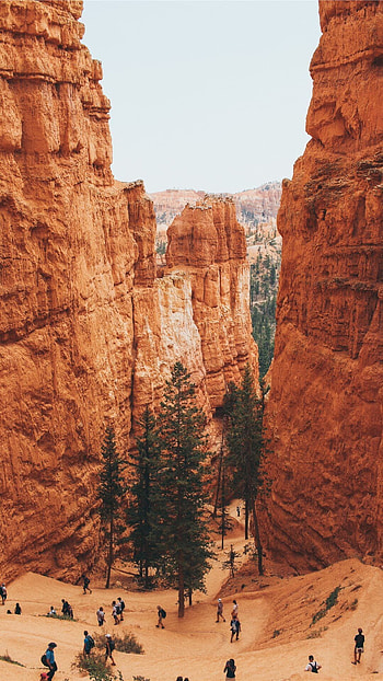 Canyon landscapes, Geology wonders, , backgrounds HD phone wallpaper