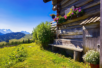 Wooden house in mountain, house, beautiful, grass, flowers, spring, mountain, sunny, wooden, rest, cottage, sky HD wallpaper