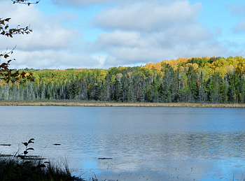 White Diamond Lake, graphy, Trees, Lake, Nature, Clouds, Sky HD wallpaper