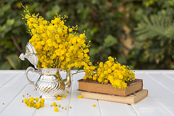 Still Life: Vibrant Yellow Blooms in Classic Elegance, graphy, still life HD wallpaper