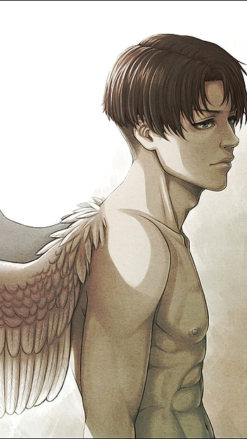 Levi with wings, Levi Ackerman, Attack on Titan, Anime HD phone wallpaper
