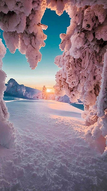 Winter, Cool Season HD phone wallpaper