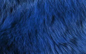 Blue fur pattern, Dark , Textured design, Unique texture HD wallpaper