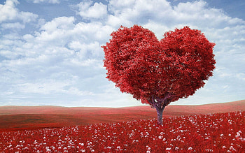 Best heart , Top-quality , Heart-themed, Stunning visuals HD wallpaper