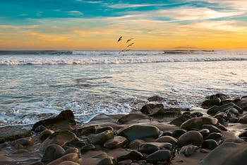 Bird Beach Sunset, cloud, sky, walks, beautiful, ocean, nature HD wallpaper