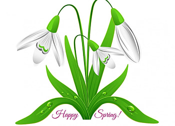 Happy spring!, snowdrop, white, by cehenot, flower, green, card, spring HD wallpaper