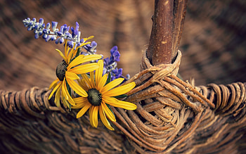 Flowers, basket, background, still life HD wallpaper