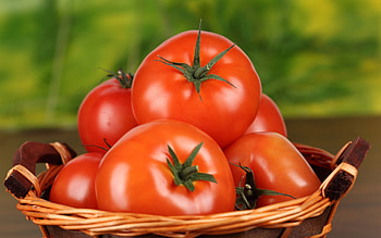 Tomato , Stunning visuals, High resolution, Digital design HD wallpaper