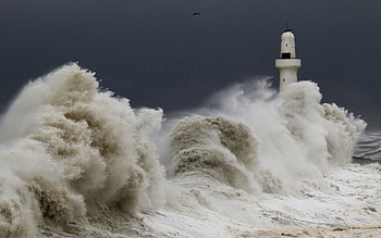 Nature, Birds, Sky, Waves, Lighthouse, Storm HD wallpaper