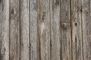 Wood, Tree, Texture, Textures, Surface, Parquet HD wallpaper