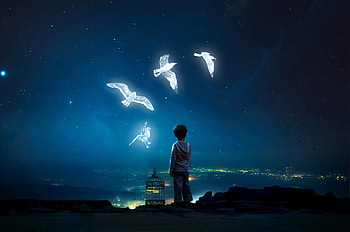Boy Child ing Birds, birds, artist, child, artwork, digital-art, deviantart HD wallpaper