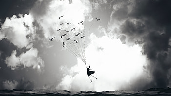 Up With The Birds , artist, artwork, digital-art, monochrome, black-and-white HD wallpaper