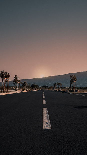 Highway between trees, Golden hour, Background for you HD phone wallpaper