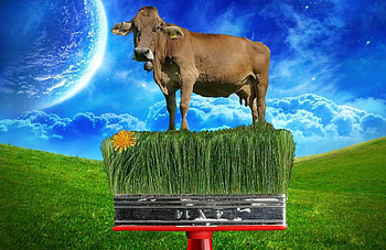 Paint Me a Cow, blue, Abstract, cow animal, green, paint, funny, paintbrush, Sky HD wallpaper