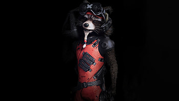 The Rocket Raccoon Guardians Of The Galaxy , rocket-raccoon, guardians-of-the-galaxy, movies, dark, black HD wallpaper