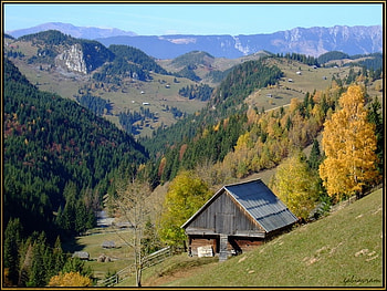 For Rest, sesons, forests, beauty, tree, leaves, trees, autumn, nature, sky, cottage, mountains, places HD wallpaper