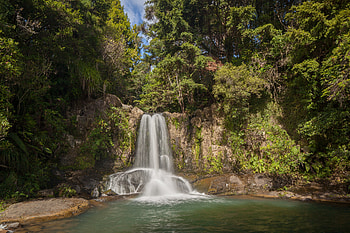 Nature, Trees, Rocks, Waterfall, Spray HD wallpaper