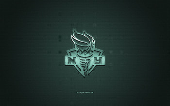 New York Liberty, American basketball club, WNBA, turquoise logo, turquoise carbon fiber background, basketball, New York, USA, New York Liberty logo HD wallpaper