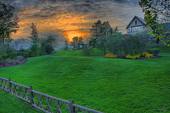 Grass Garden, cool HD wallpaper