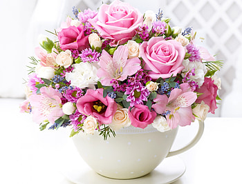 For you!, rose, pink, white, flower, cup HD wallpaper