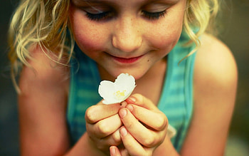 flower_mood, amit, omdave, matu, hrdave HD wallpaper