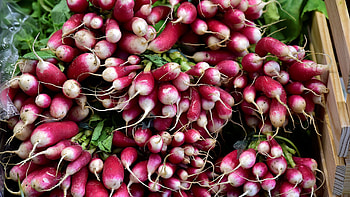 Radish , Food HD wallpaper