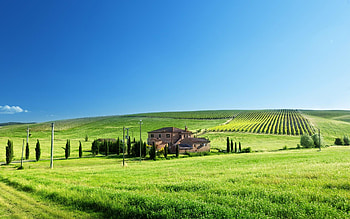 Farm landscape , Rural scenery HD wallpaper