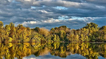 Green Reflection in the Lake, reflection, clouds, trees, nature, forest, lake HD wallpaper