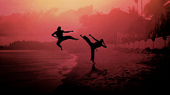 Cobra Kai, ultra , High-definition background, Cobra Kai logo HD wallpaper