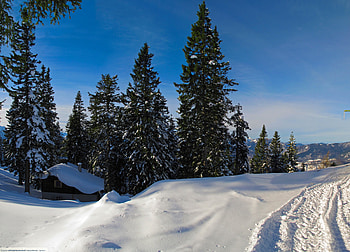 Winter, Nature, Trees, Snow, Small House, Lodge, Silence, Traces, Track, Ate, Cover HD wallpaper
