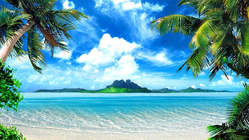Tropical Beach Background HD wallpaper
