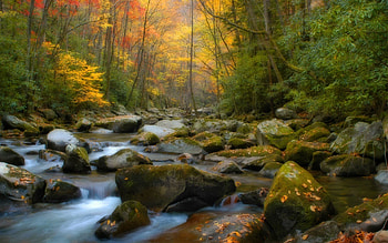 Autumn Country Side HD wallpaper