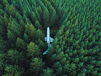 Airplane, aircraft, trees, aerial view HD wallpaper