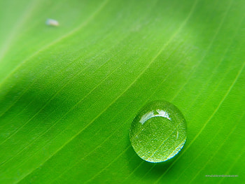 Background, Bubbles HD wallpaper