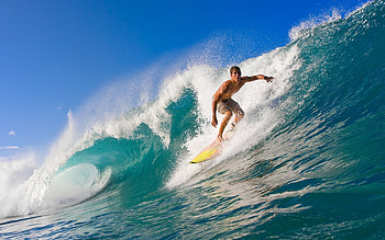 delights, High-definition surf, Surfer's paradise, Dynamic visuals HD wallpaper