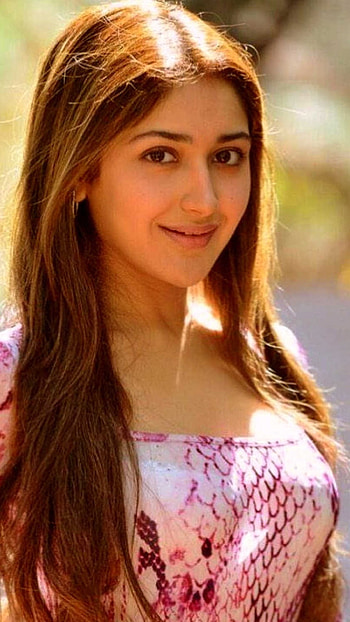 Sayesha Saigal, Tollywood, Actress HD phone wallpaper