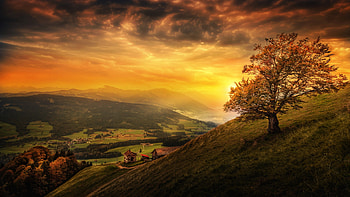 Canton of St. Gallen, Switzerland, alps, sunset, trees, colors, landscape, clouds, sky HD wallpaper