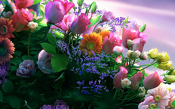 Plants, Flowers, Bouquets HD wallpaper