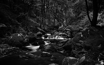 graphy - Black & White Landscape Scenic Forest River Stream HD wallpaper