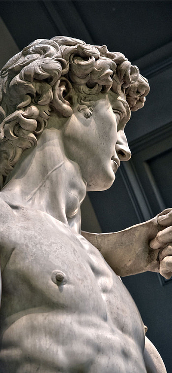 Michelangelo, , Best HD phone wallpaper