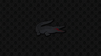 Lacoste Logo , lacoste, computer, logo HD wallpaper