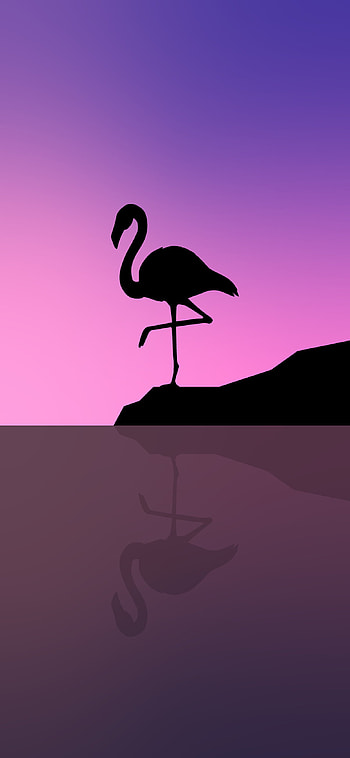 Aesthetic minimalist, , quality, Flamingo design HD phone wallpaper