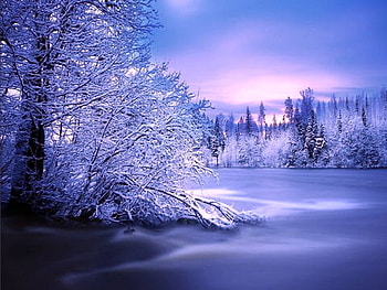 Pure as the driven snow, winter, frost, pink and blue sky, untouched snow, trees, beauty HD wallpaper