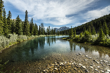 Nature, Trees, Stones, Mountains, Lake, Forest HD wallpaper