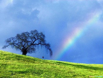 Landscape, Trees, Grass, Sky, Rainbow HD wallpaper