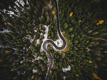Highway's turn, tree, road, aerial view HD wallpaper