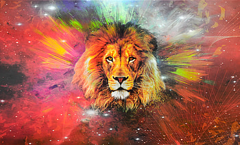 Lion Galaxy Art , lion, artist, artwork, digital-art HD wallpaper