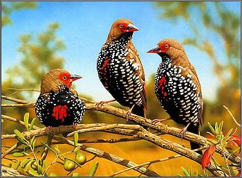 Birds, leaves, nature, tree HD wallpaper