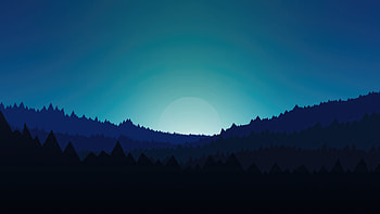 Minimal Forest Night, minimalism, minimalist, artist, artwork, digital-art, artstation HD wallpaper